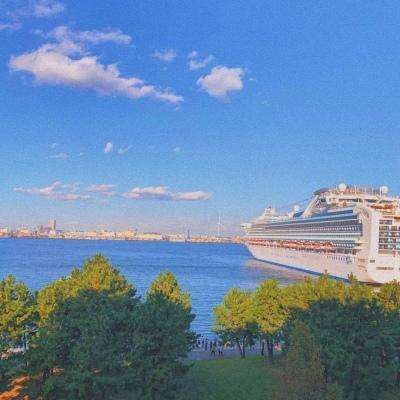 ayx在线登录入口下载手机版